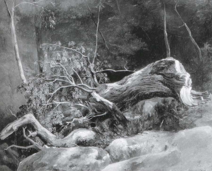 The Fallen Branch,Fontainebleau